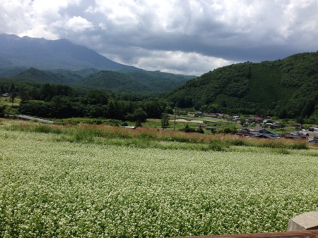 f:id:altosobajima:20150816115501j:image f:id:altosobajima:20150816115501j:image