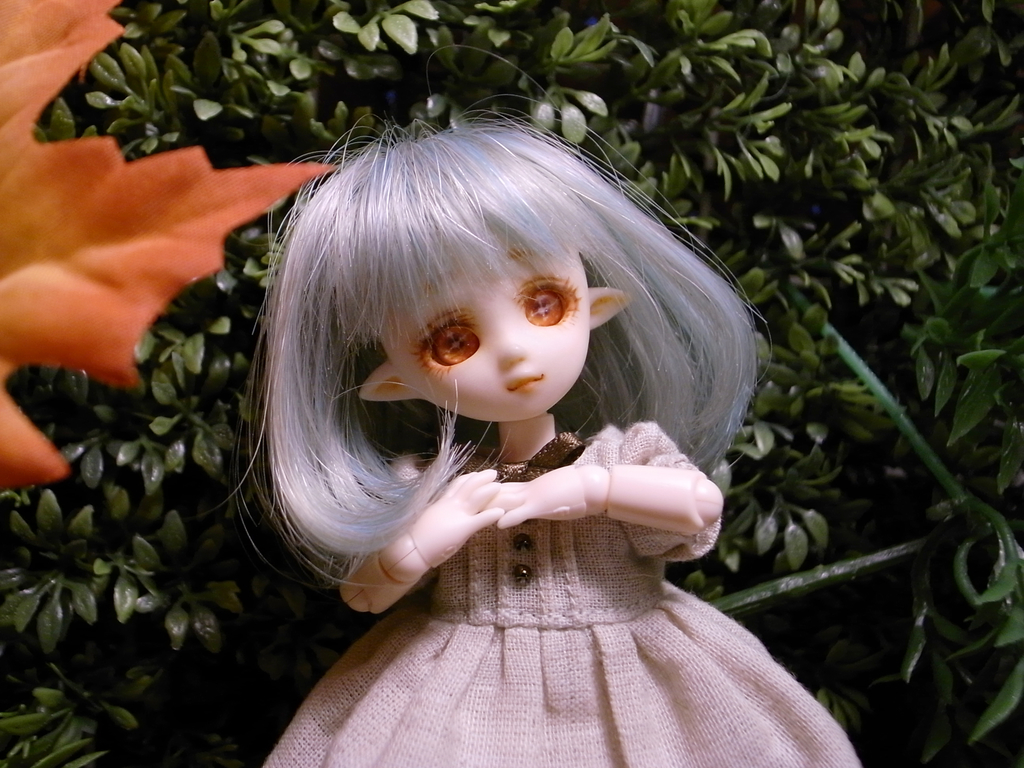 f:id:altsyu:20181005223126j:plain f:id:altsyu:20181005223126j:plain