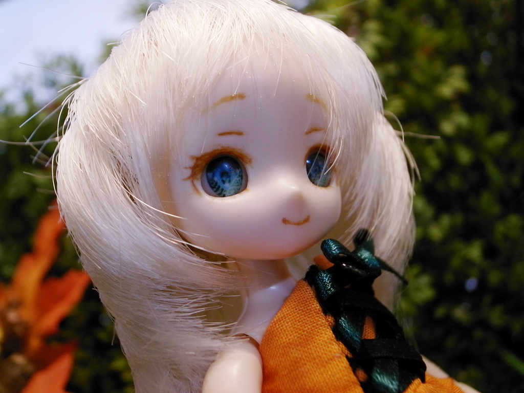 f:id:altsyu:20181027230250j:plain f:id:altsyu:20181027230250j:plain
