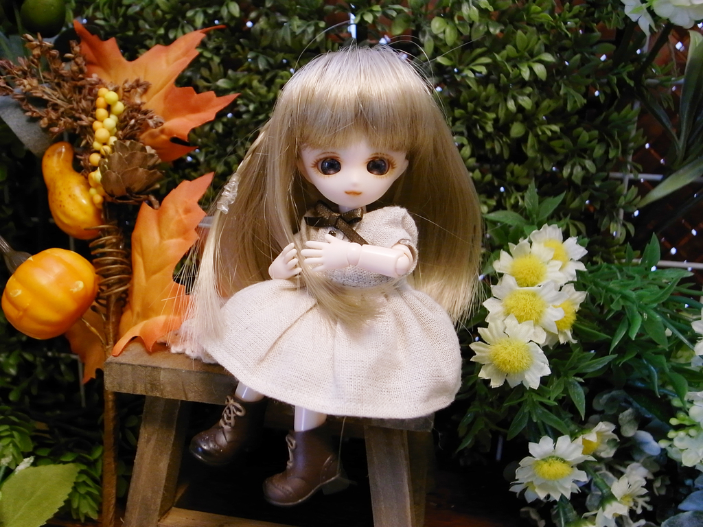 f:id:altsyu:20181202171611j:plain f:id:altsyu:20181202171611j:plain