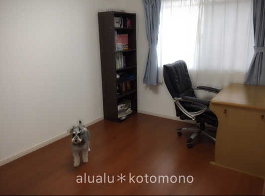 f:id:alualu0312:20170527085426p:plain f:id:alualu0312:20170527085426p:plain