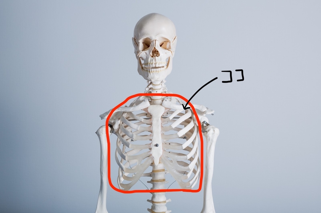 f:id:alucky_yuya72:20181112194012j:plain