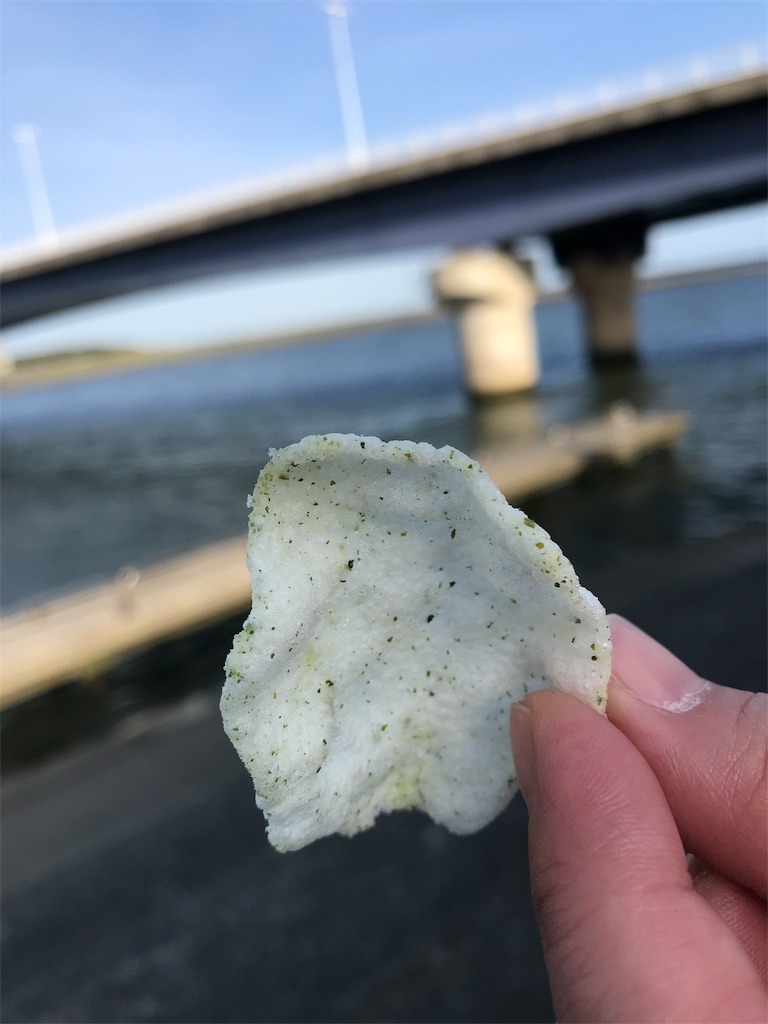 f:id:alupususanpo:20190601062855j:image