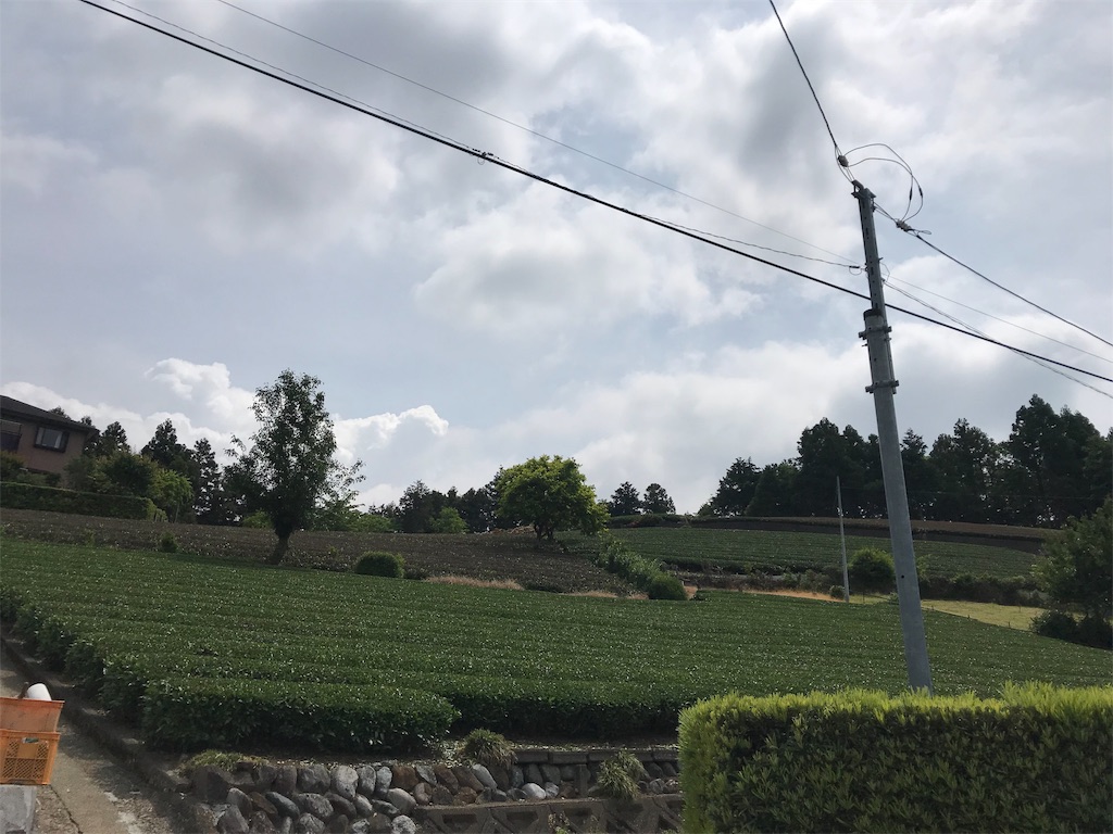 f:id:alupususanpo:20190603052529j:image