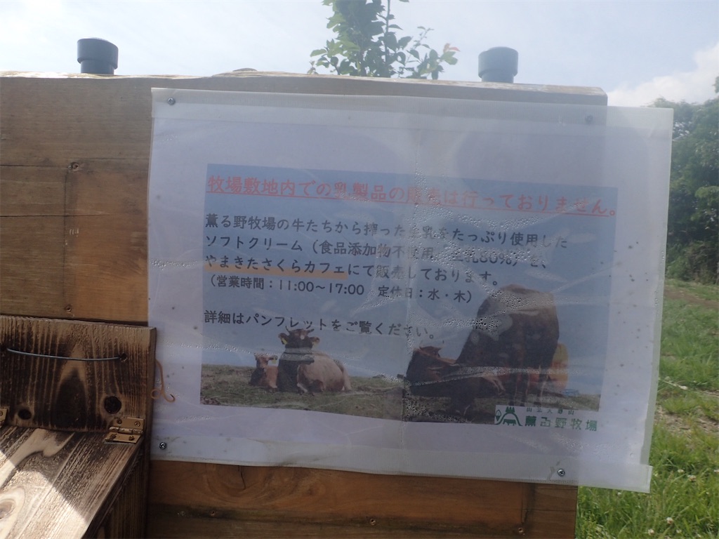 f:id:alupususanpo:20190603052628j:image