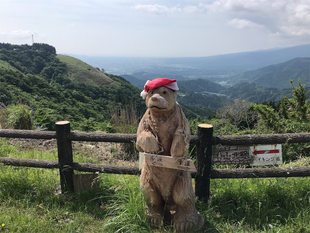 f:id:alupususanpo:20190603052733j:image