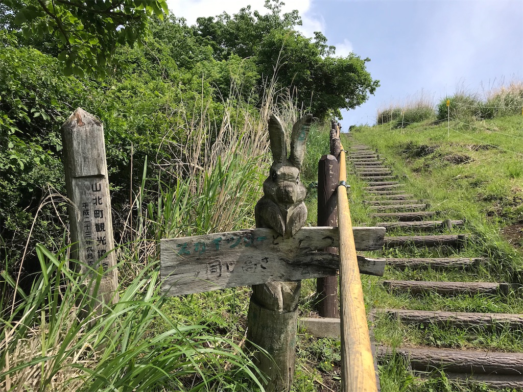 f:id:alupususanpo:20190603072931j:image