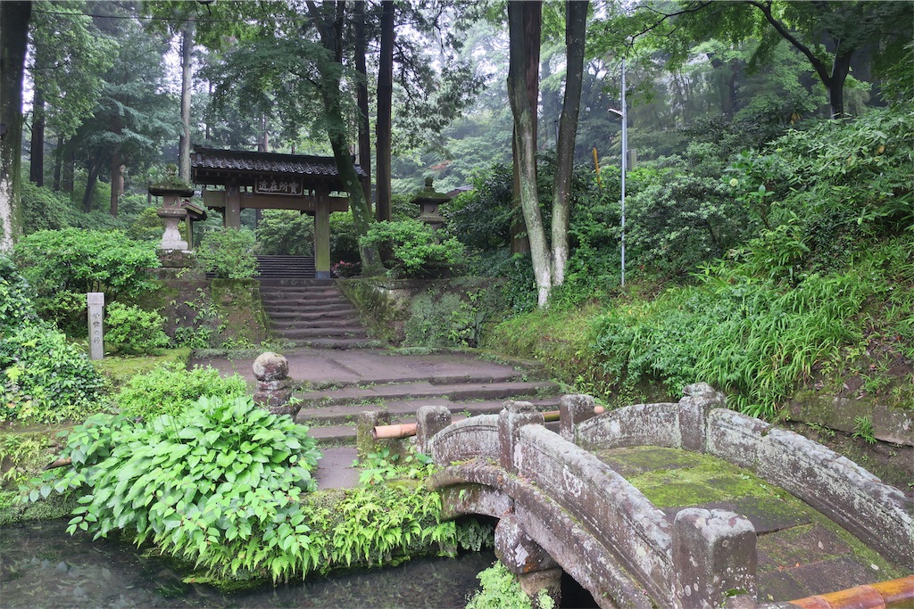 f:id:alupususanpo:20190610060437j:image