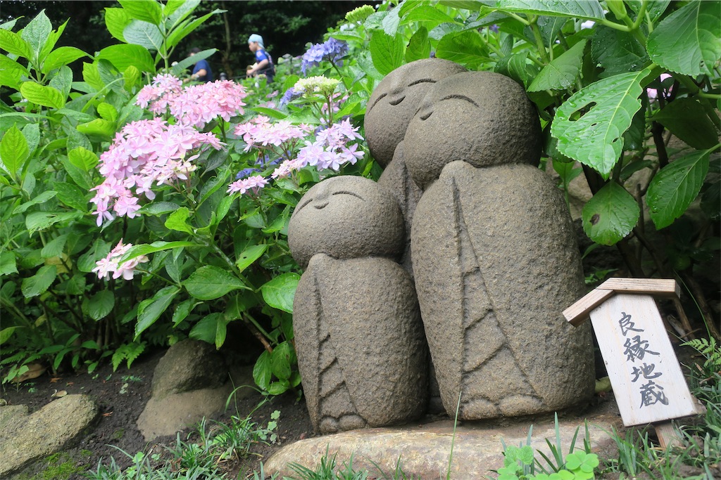 f:id:alupususanpo:20190612051734j:image
