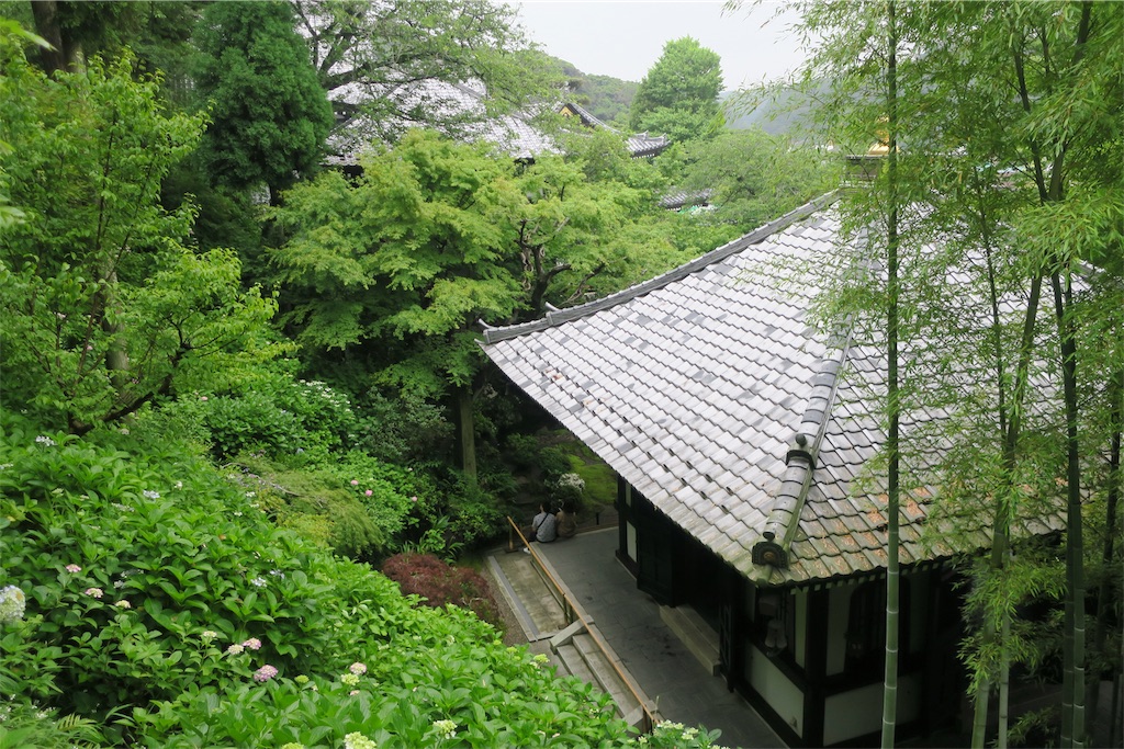 f:id:alupususanpo:20190612052004j:image