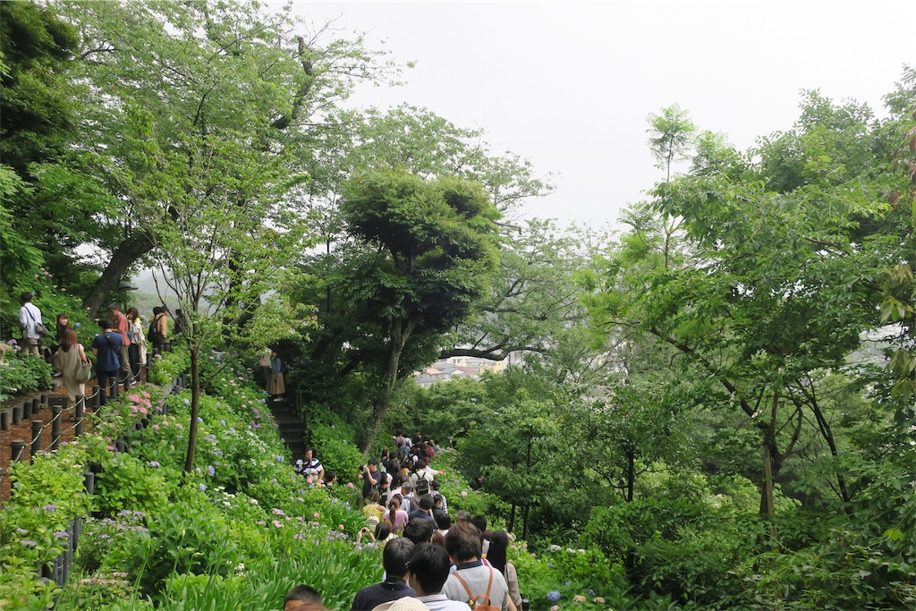 f:id:alupususanpo:20190612052025j:image
