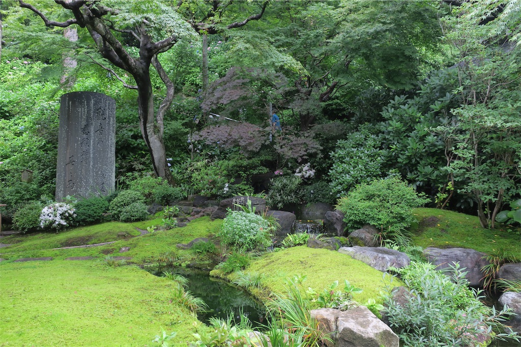 f:id:alupususanpo:20190612052842j:image