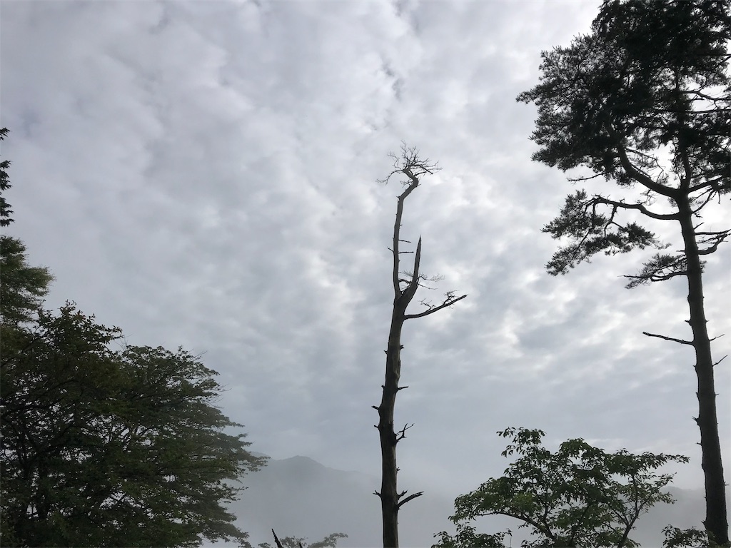 f:id:alupususanpo:20190714105258j:image