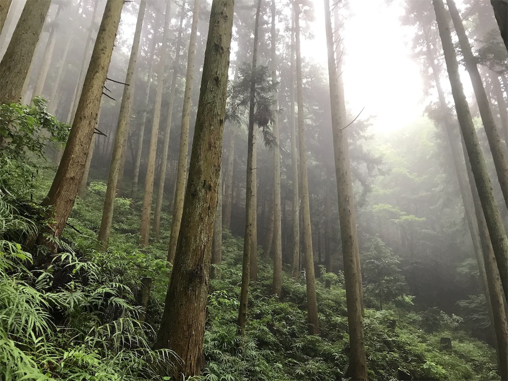 f:id:alupususanpo:20190714105324j:image
