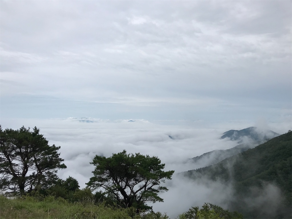 f:id:alupususanpo:20190714105348j:image