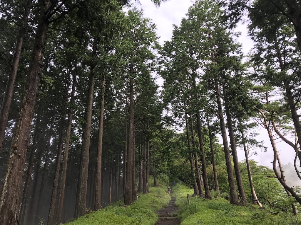 f:id:alupususanpo:20190714105357j:image