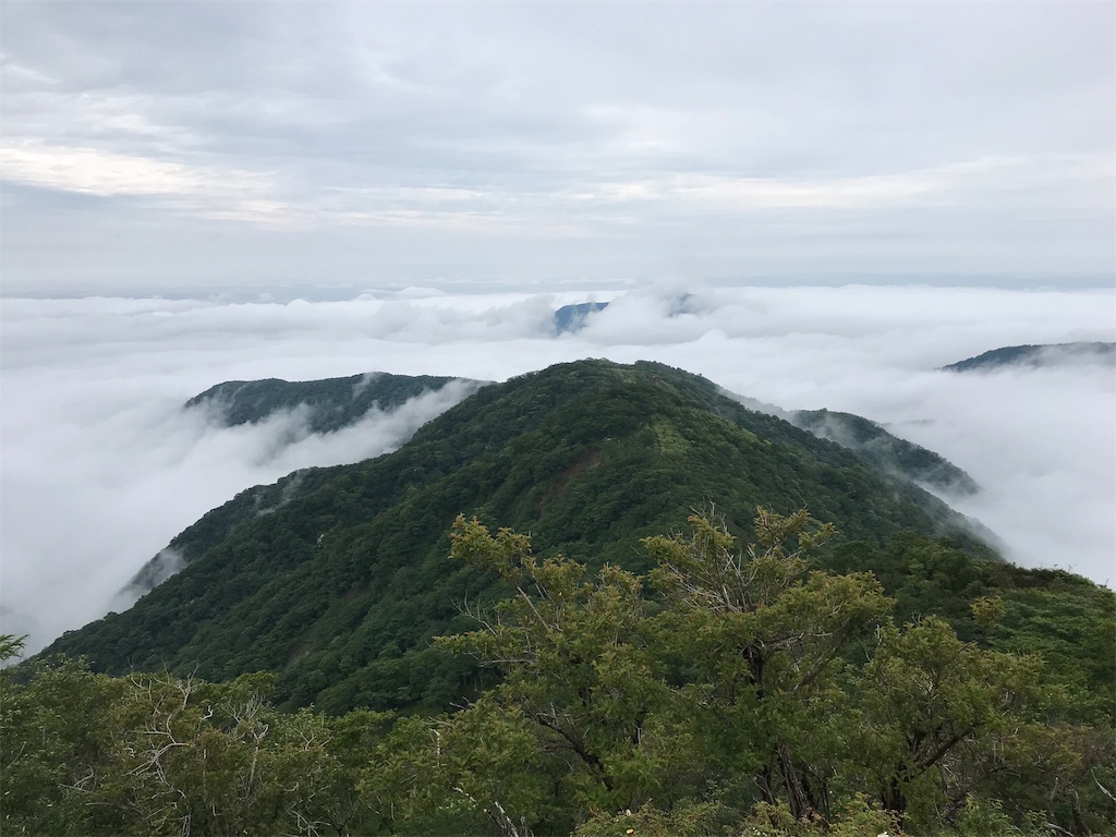 f:id:alupususanpo:20190714105444j:image