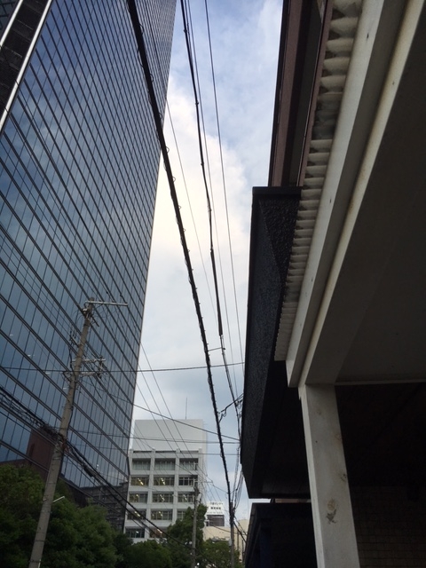 f:id:aluvous:20160704172959j:plain f:id:aluvous:20160704172959j:plain