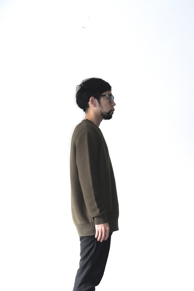 f:id:aluvous:20161110134516j:plain