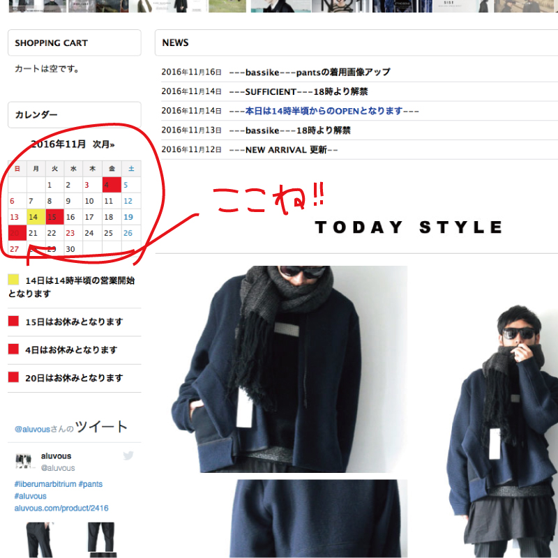 f:id:aluvous:20161119171514j:plain