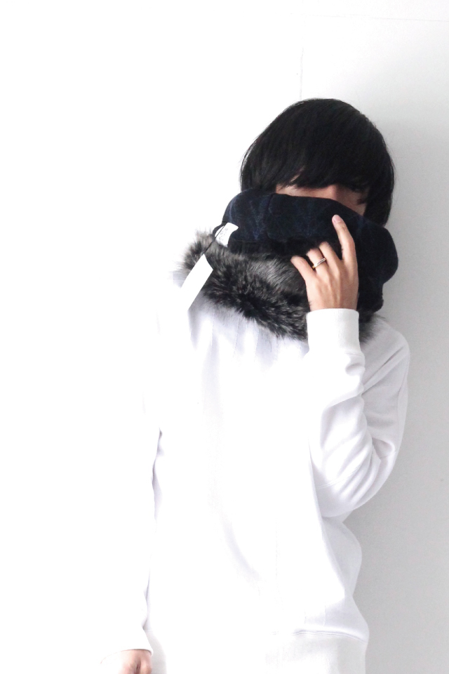 f:id:aluvous:20171024171656j:plain