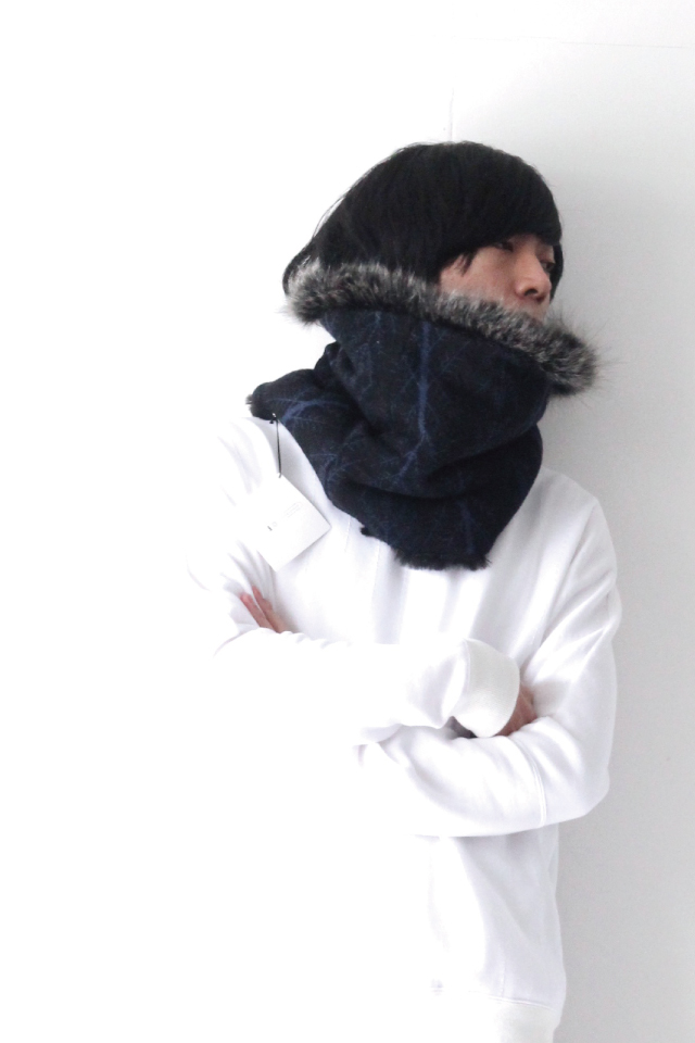 f:id:aluvous:20171024171658j:plain