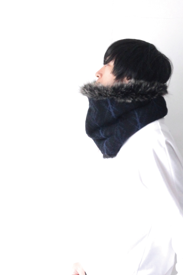 f:id:aluvous:20171024171700j:plain
