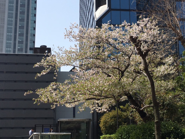 f:id:aluvous:20180401120928j:plain
