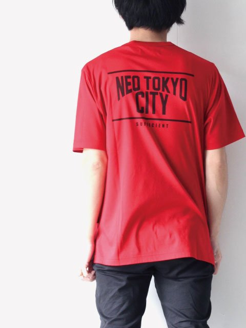 f:id:aluvous:20180417195521j:plain