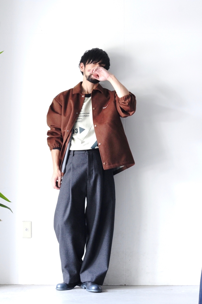 f:id:aluvous:20181002112353j:plain