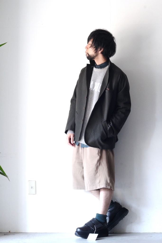 f:id:aluvous:20181108121244j:plain