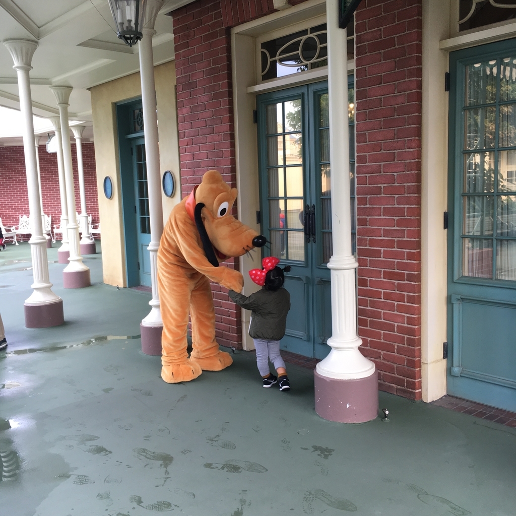 f:id:aluvous:20181127095642j:plain f:id:aluvous:20181127095642j:plain