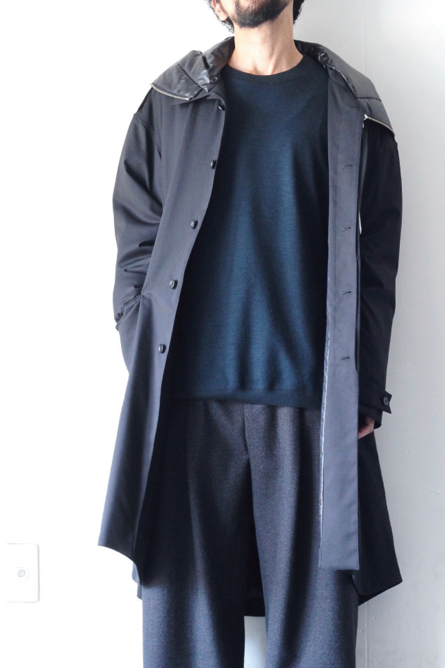 f:id:aluvous:20190109154320j:plain