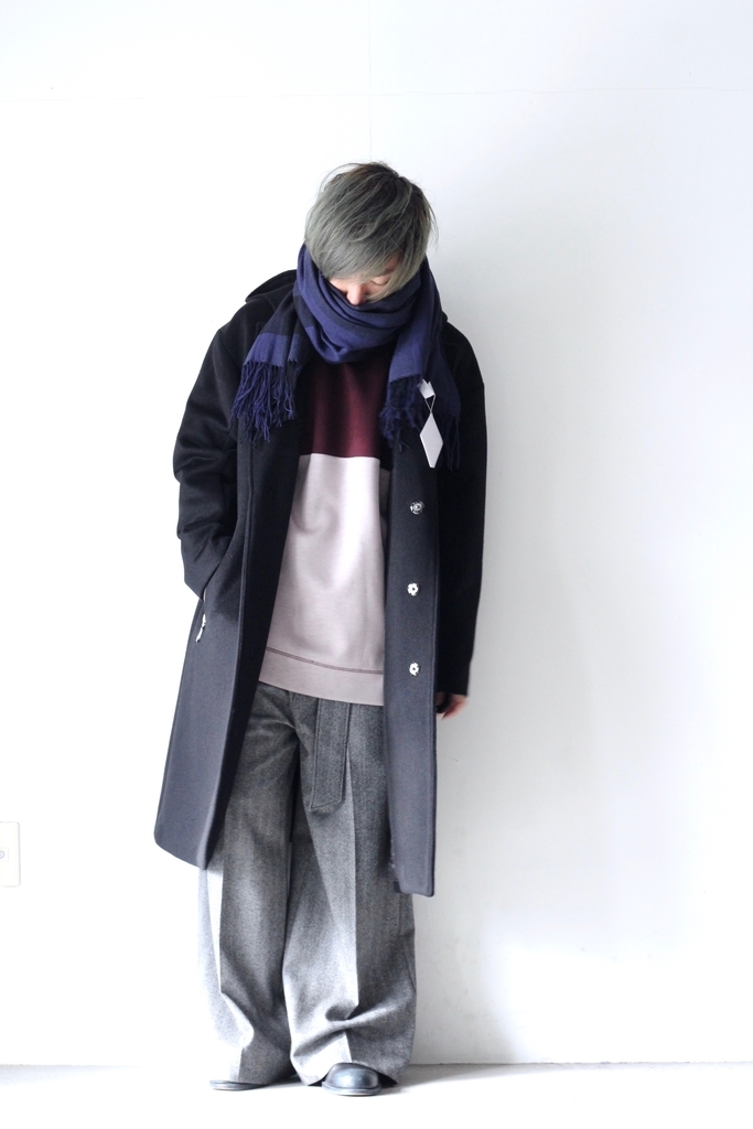 f:id:aluvous:20190118140206j:plain