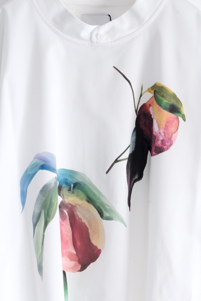 f:id:aluvous:20190119141519j:plain f:id:aluvous:20190119141519j:plain