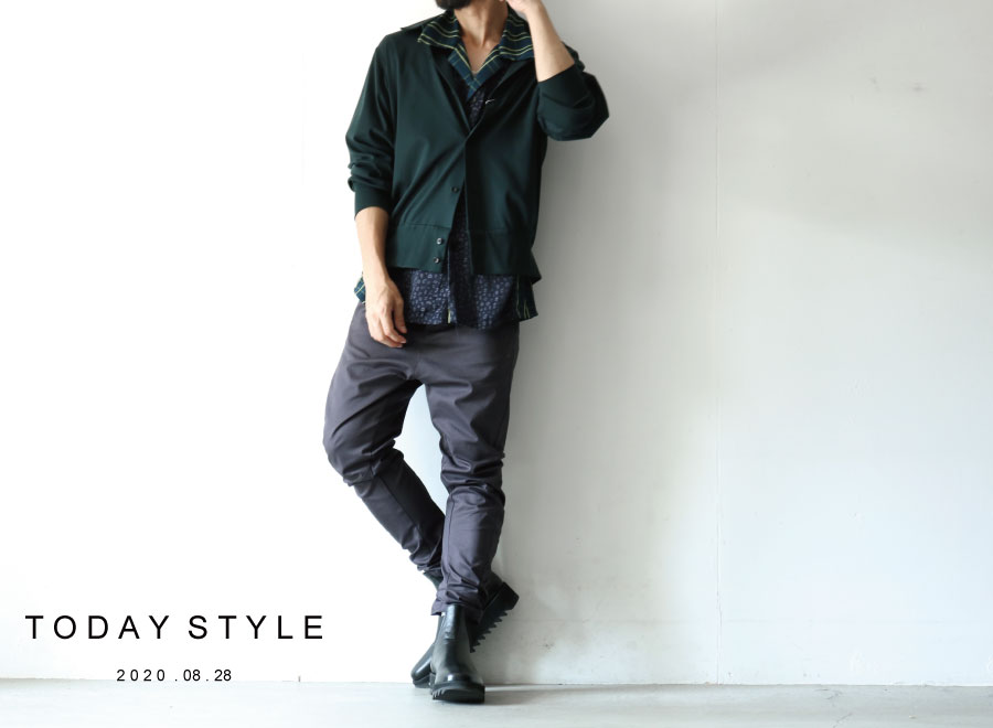 f:id:aluvous:20201030162949j:plain