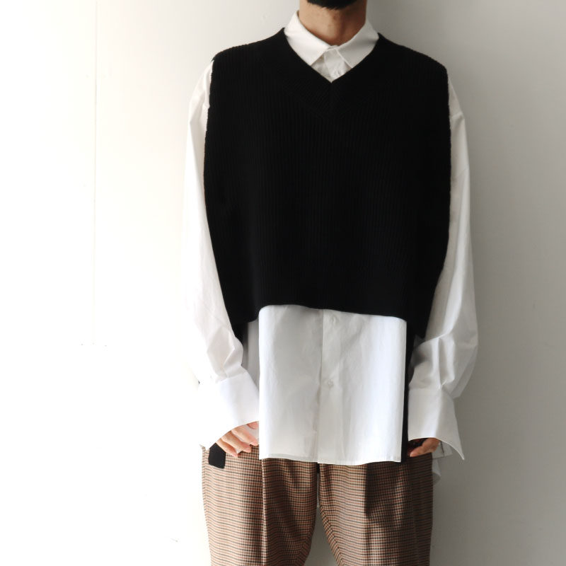 f:id:aluvous:20201203155106j:plain