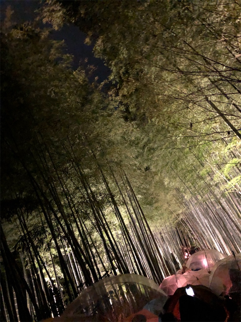 f:id:alyssaaaa966:20191228124121j:image
