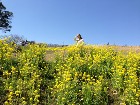 f:id:am0530:20130317205840j:image f:id:am0530:20130317205840j:image