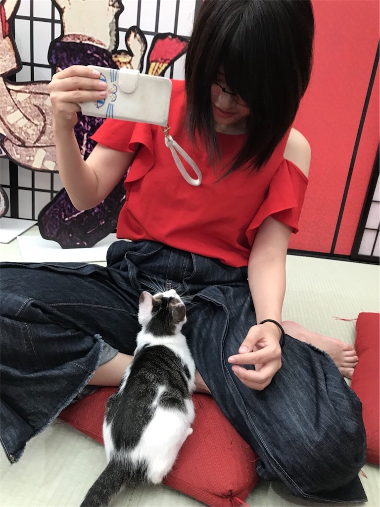f:id:am161024:20180713010612j:image