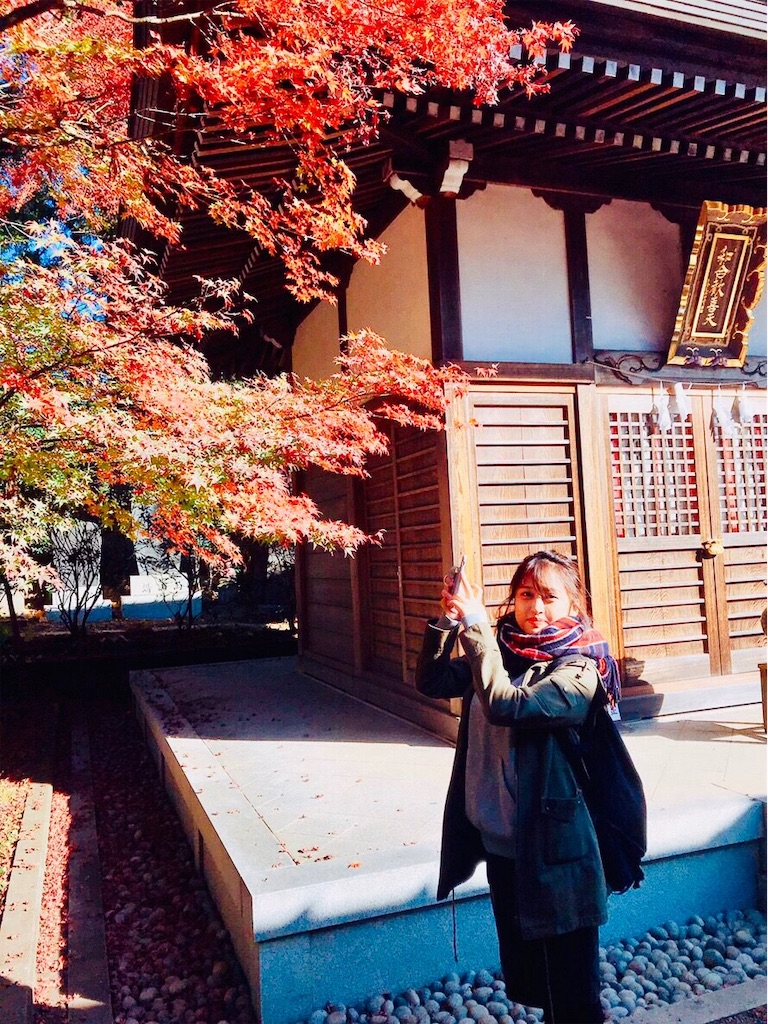 f:id:am161024:20190217024117j:image f:id:am161024:20190217024117j:image