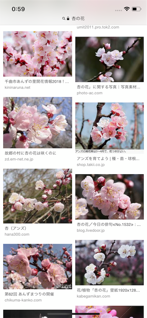 f:id:am161024:20190220005920p:image