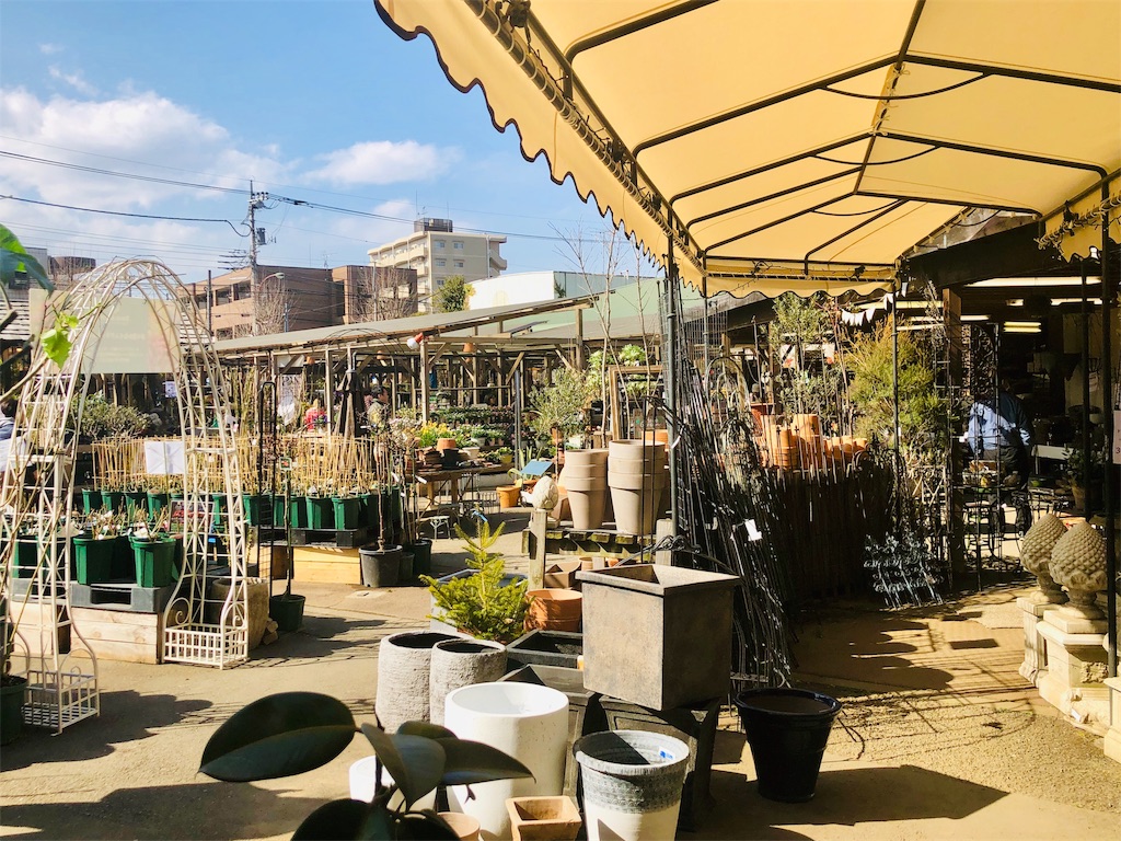 f:id:am161024:20190224004400j:image f:id:am161024:20190224004400j:image