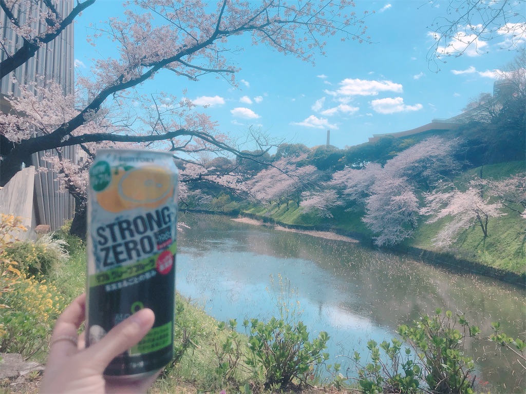 f:id:am161024:20190404012832j:image