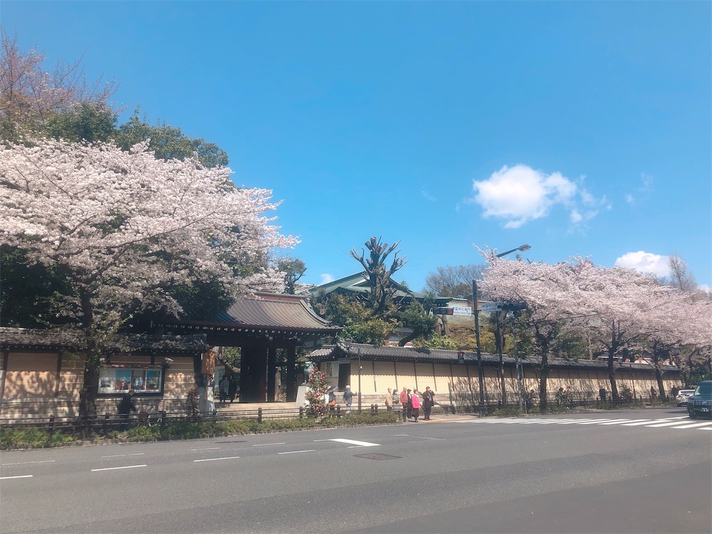 f:id:am161024:20190404012939j:image