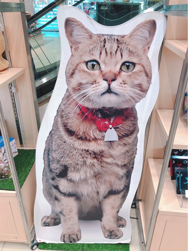 f:id:am161024:20190411025946j:image