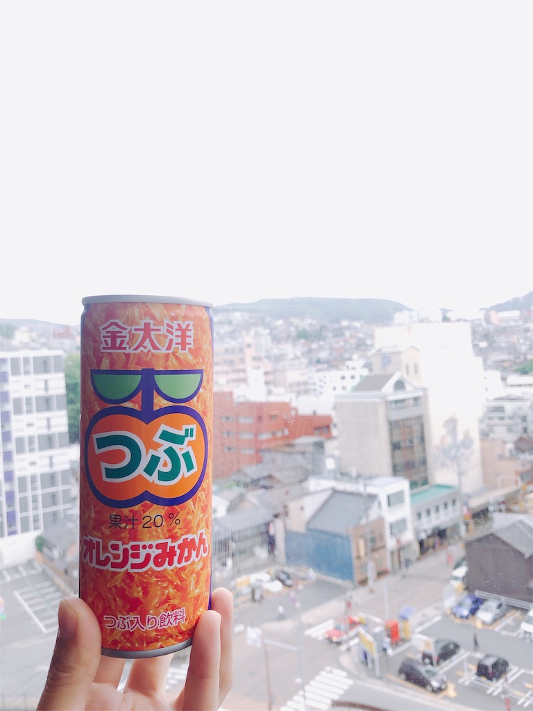 f:id:am161024:20190530022151j:image