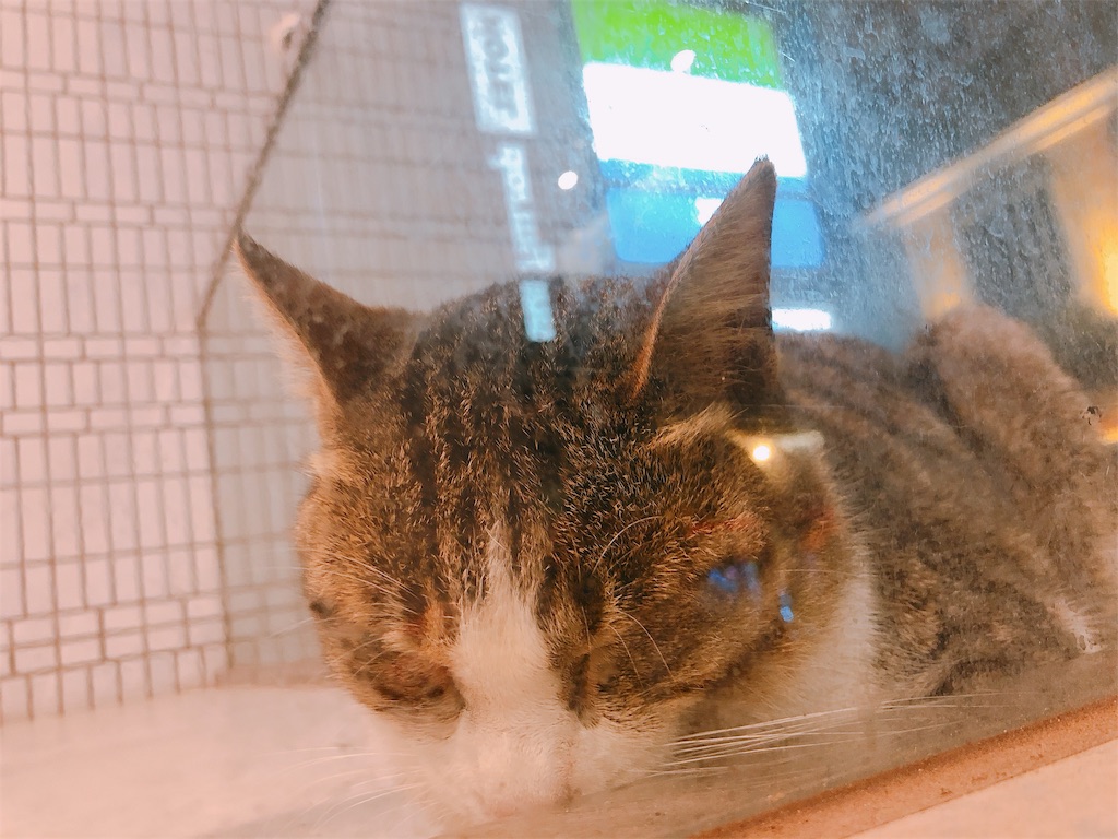 f:id:am161024:20190530022654j:image