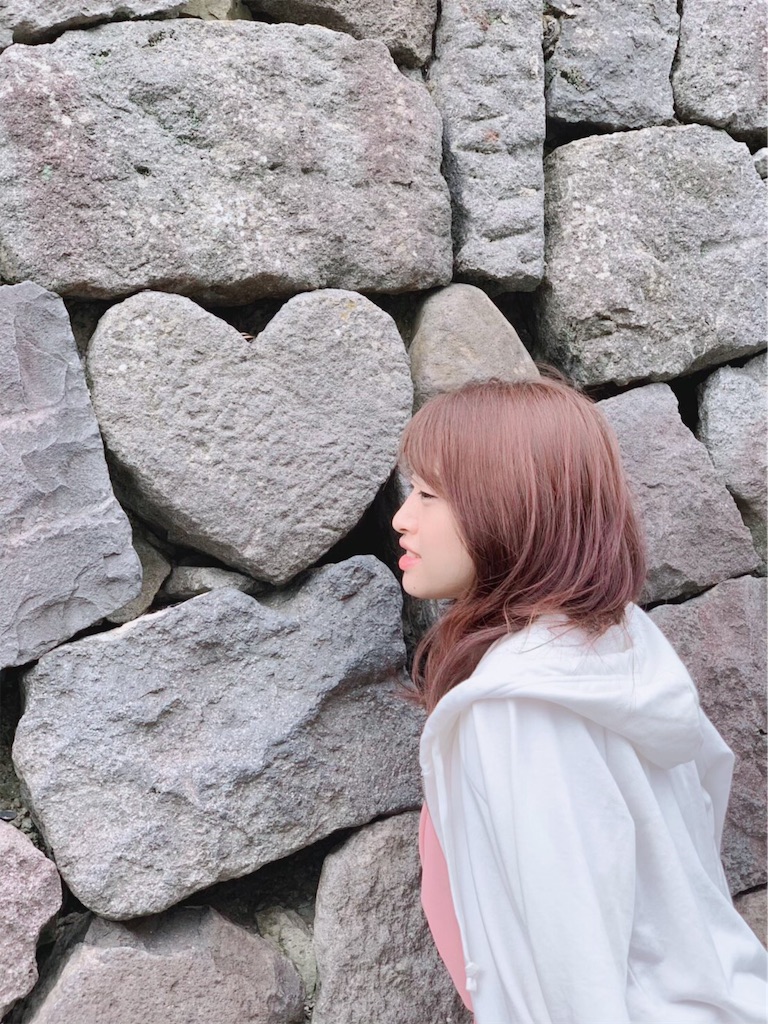 f:id:am161024:20190530022705j:image