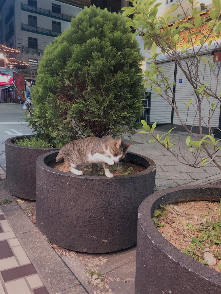 f:id:am161024:20190530022725j:image